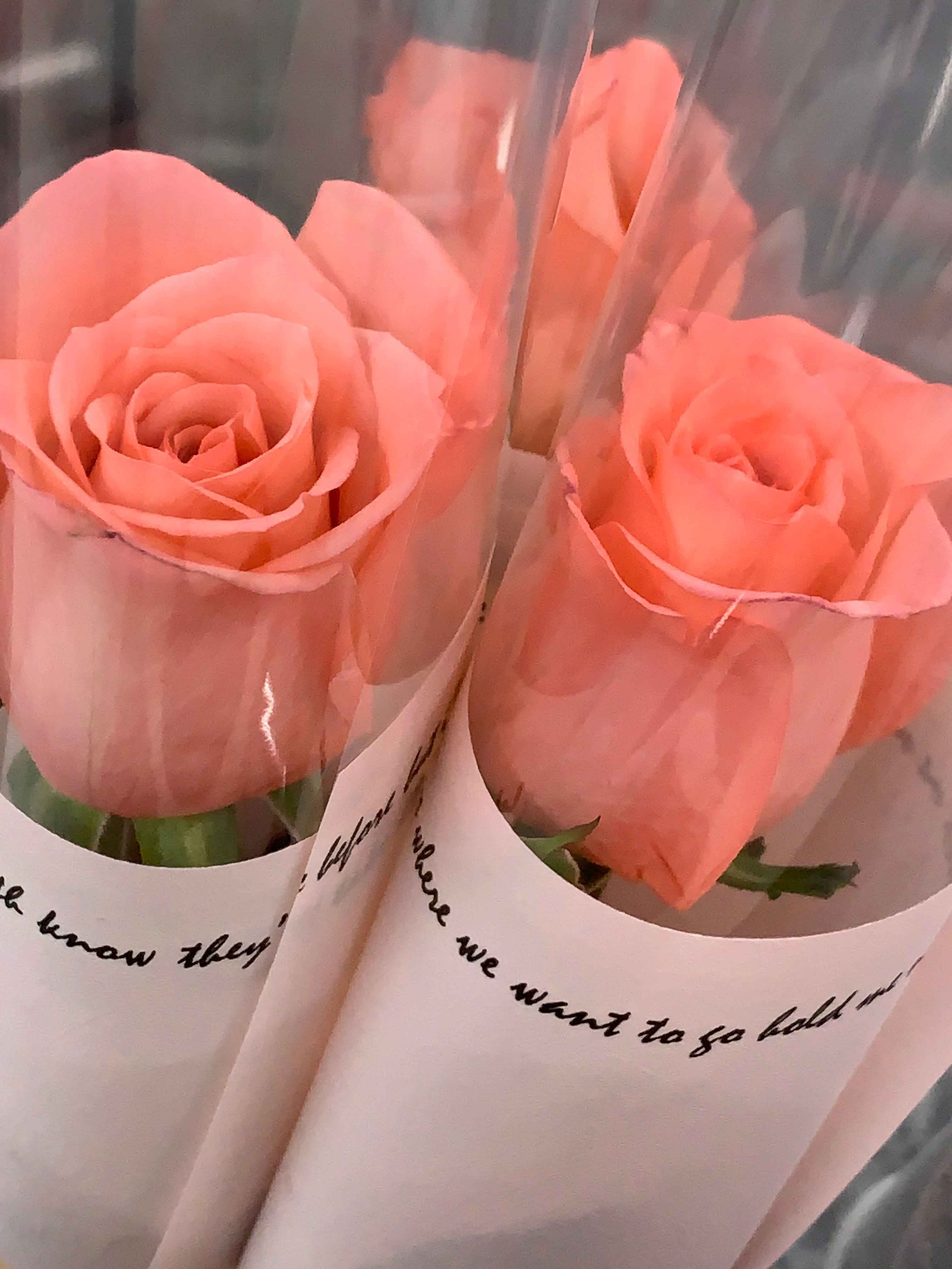 85cb0510ef4fc0e63b5cff090d8acbe